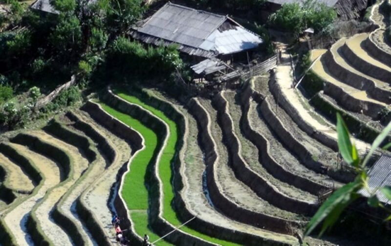 Sa Pa: 6-Hours Muong Hoa Valley Trek with Local Ethnic guide - Who Should Consider This Tour?