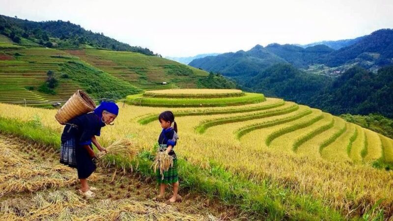 Sa Pa: 6-Hours Muong Hoa Valley Trek with Local Ethnic guide - FAQ