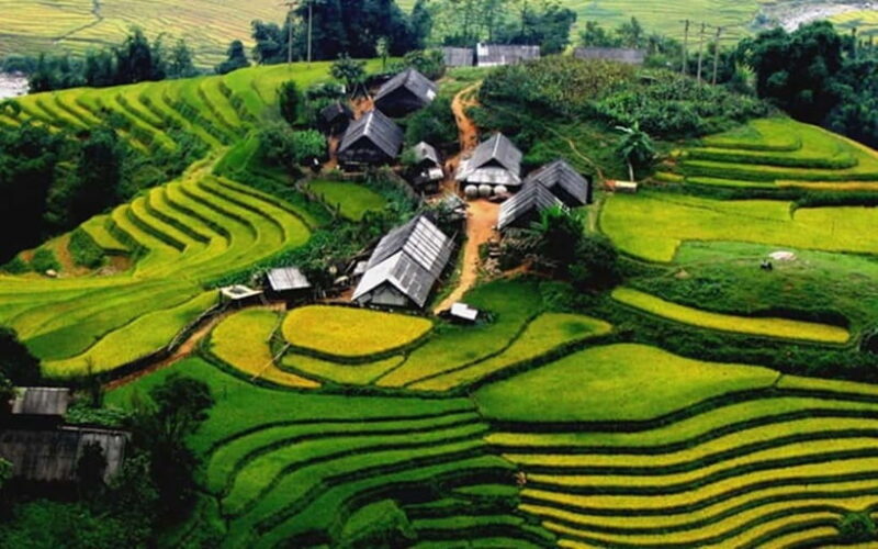 Sa Pa: Discover Fansipan Mountain Trek with Homestay 3 days - An In-Depth Review of Your 3-Day Sapa Adventure