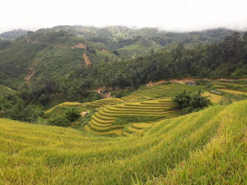 Sa Pa: Muong Hoa Valley Trek and Local Ethnic Villages - What to Expect and Practical Tips