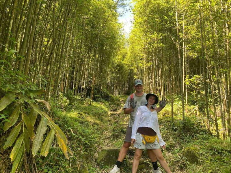 Sa Pa: Muong Hoa Valley Trek and Local Ethnic Villages - Why This Tour Might Be Perfect for You