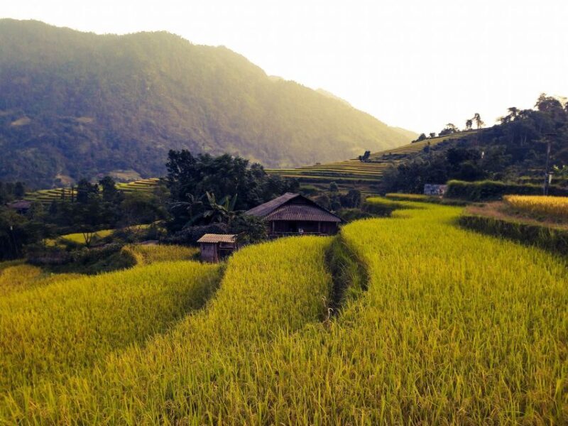 Sa Pa: Muong Hoa Valley Trek and Local Ethnic Villages - FAQ
