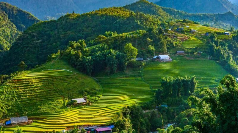 Sa Pa: Villages and Rice Fields Private Half-Day Car Tour - Why This Tour Offers Good Value