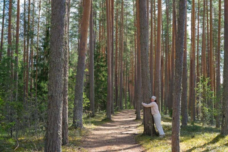 Saarijärvi: Scenic Lakeside Forest Walk with Campfire Food - Key Points