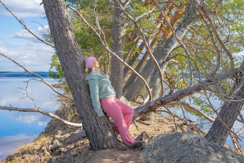 Saarijärvi: Scenic Lakeside Forest Walk with Campfire Food - The Value of This Experience