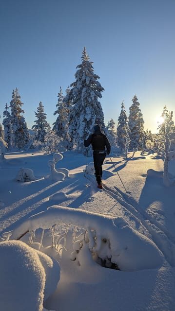 Saariselkä: Back-Country Skiing Guided Tour - Experience the Finnish Wilderness on a Back-Country Skiing Tour