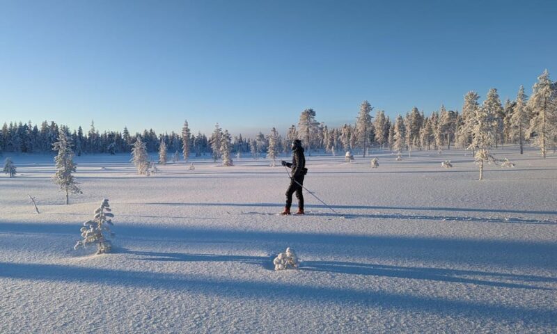 Saariselkä: Back-Country Skiing Guided Tour - Key Points