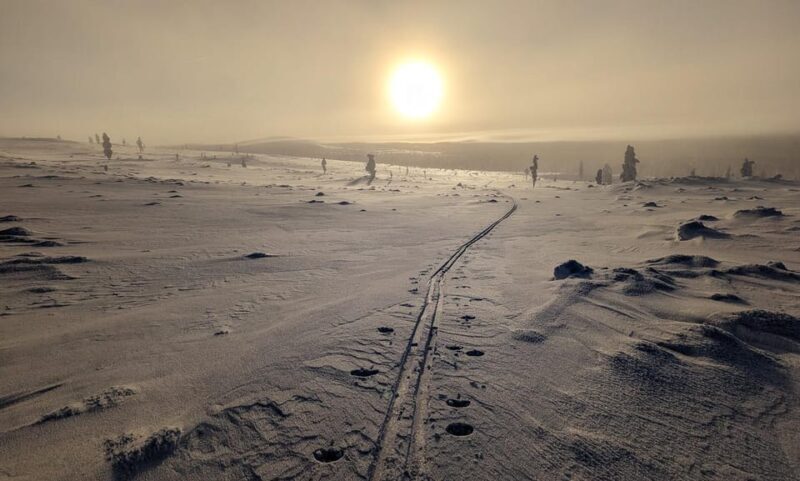 Saariselkä: Back-Country Skiing Guided Tour - What the Tour Looks Like
