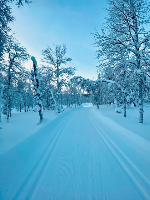 Saariselkä: Cross-Country Skiing for beginners - FAQ