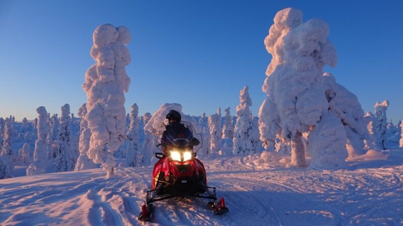 Saariselkä: Evening Snowmobile Tour with Fire & picnic - Exploring Saariselkä’s Evening Snowmobile Adventure: Fire, Food, and the Northern Lights
