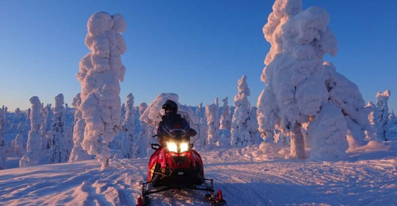 Saariselkä: Evening Snowmobile Tour with Fire & picnic - The Itinerary: What You Can Expect