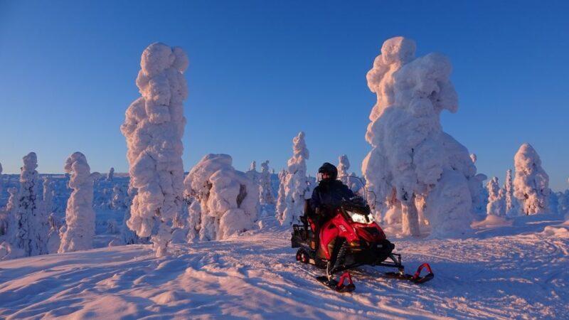 Saariselkä: Evening Snowmobile Tour with Fire & picnic - The Sum Up