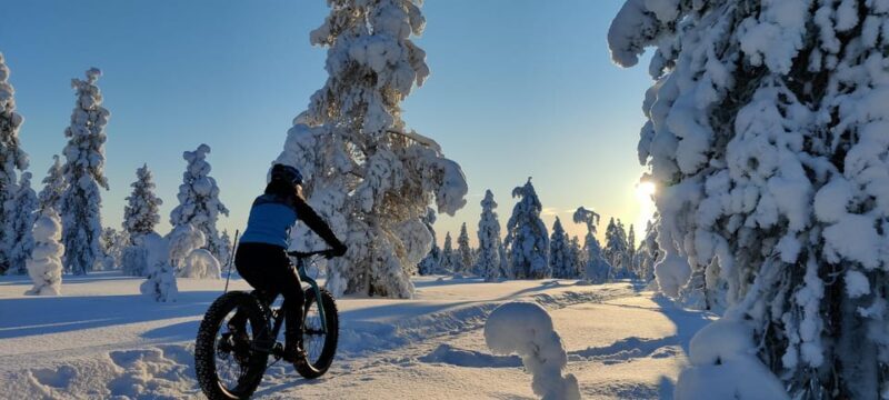 Saariselkä: Guided Fatbike Tour - The Sum Up