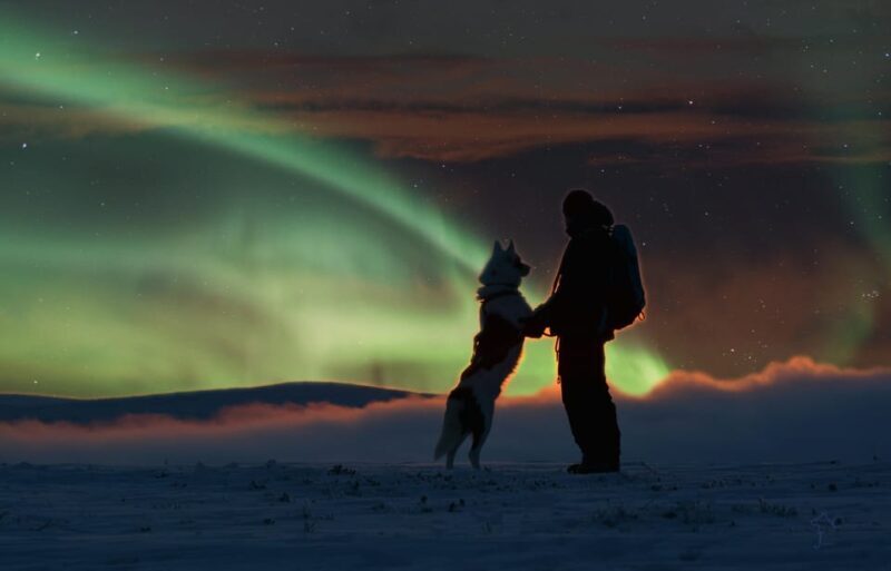 Saariselkä: Husky Safari with Aurora Borealis Hunt - The Sum Up: Is This Tour Worth It?
