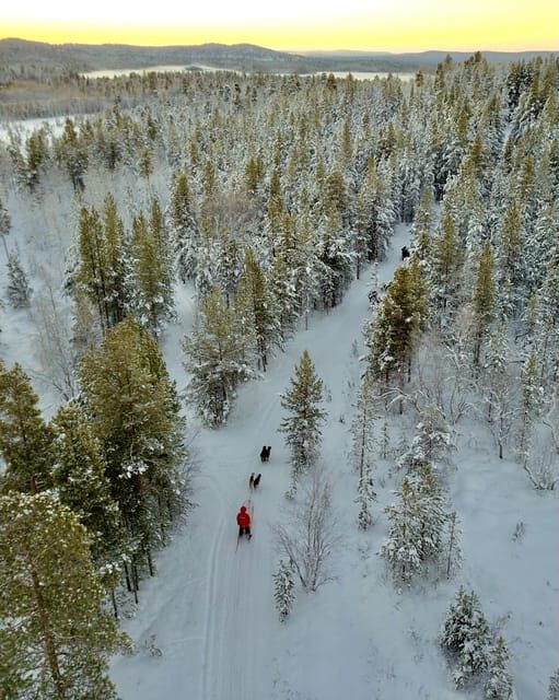 Saariselkä: Husky Safari with kennel visit - The Authenticity Factor