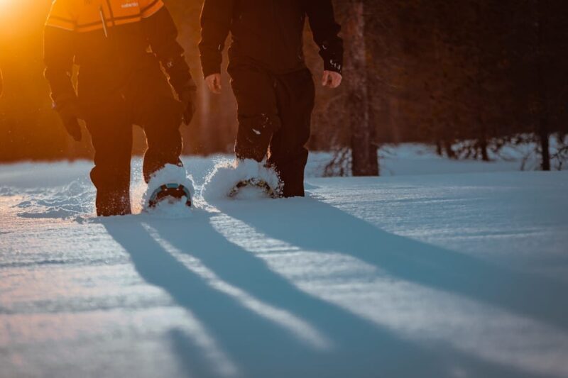 Saariselkä: Northern Lights Hunting Snowshoe Trip - FAQ