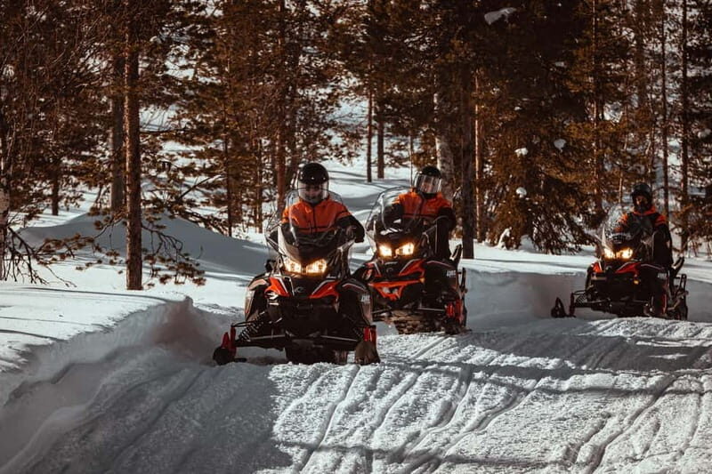 Saariselkä: One Hour Snowmobile Safari - An In-Depth Look at the Saariselkä Snowmobile Safari