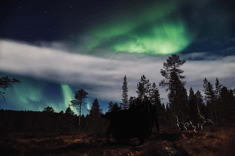 Saariselkä,Kakslauttanen: Aurora Hunting & Photography Tour. - Frequently Asked Questions (FAQs)