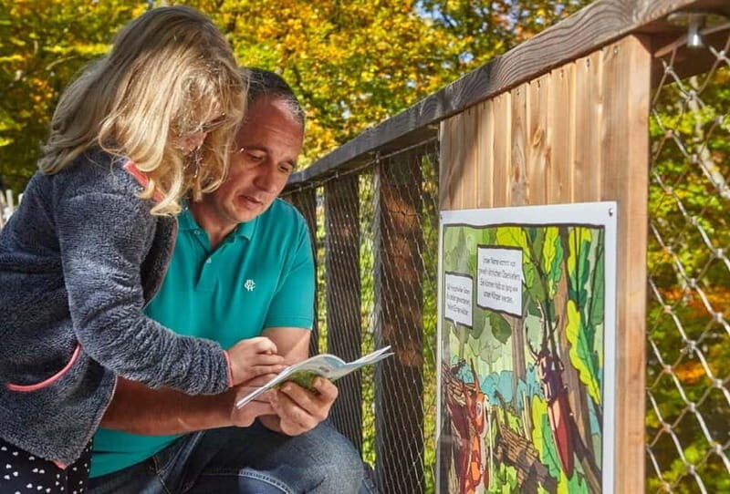 Saarland: Treetop Walk Saarschleife & Lookout Tower - What to Expect: Walks, Views, and Interactive Fun