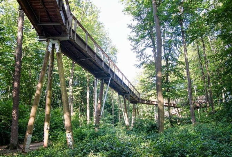 Saarland: Treetop Walk Saarschleife & Lookout Tower - The Experience from a Traveler’s Perspective