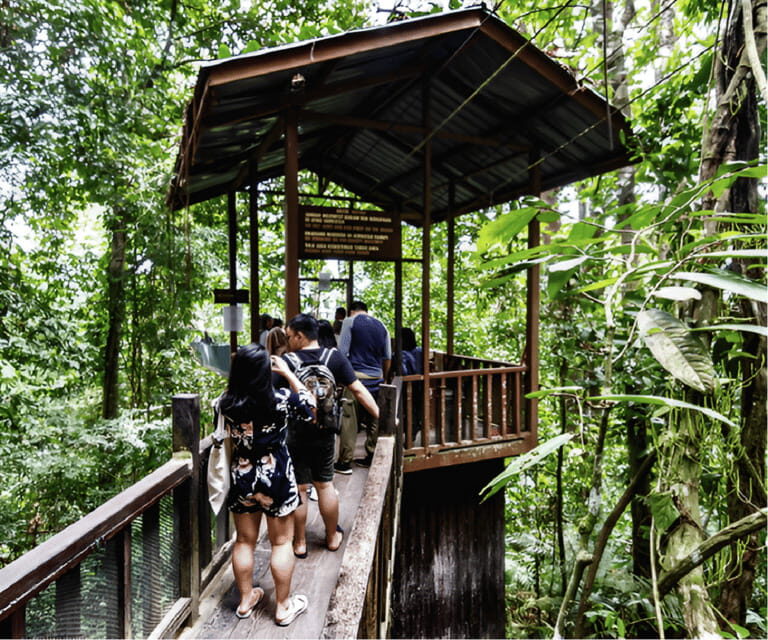 Sabah: Kinabalu Park, Hot Springs, and Cow Farm Day Tour - Who Is This Tour Best For?