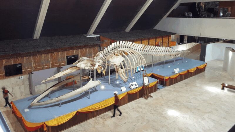 Sabah : Kota Kinabalu City Tour - The Sum Up