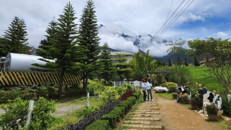 Sabah: Kundasang Nature Day Tour - Authentic Experiences and What Travelers Say