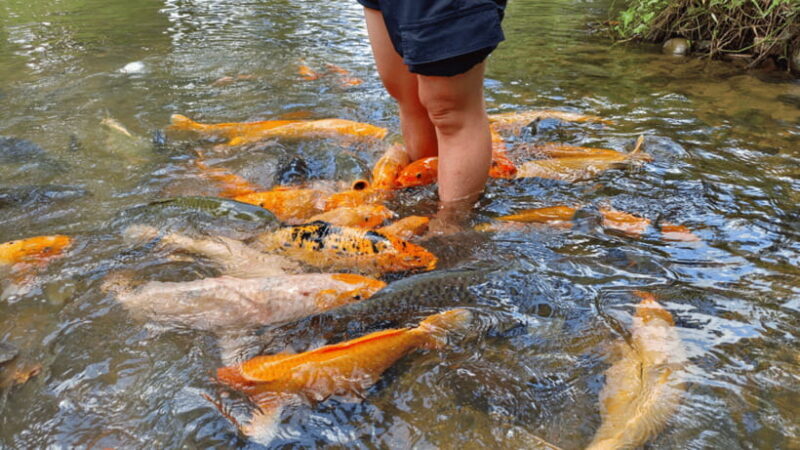 Sabah: Kundasang Nature Day Tour - Final Thoughts