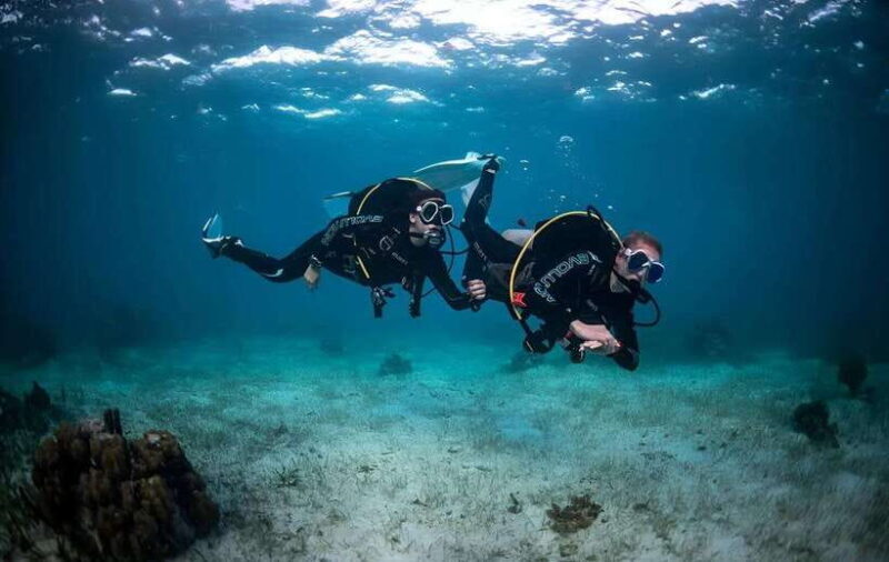 Sabah : Mamutik & Sapi Island Excursion Ticket - Exploring Sabah’s Islands: A Detailed Look