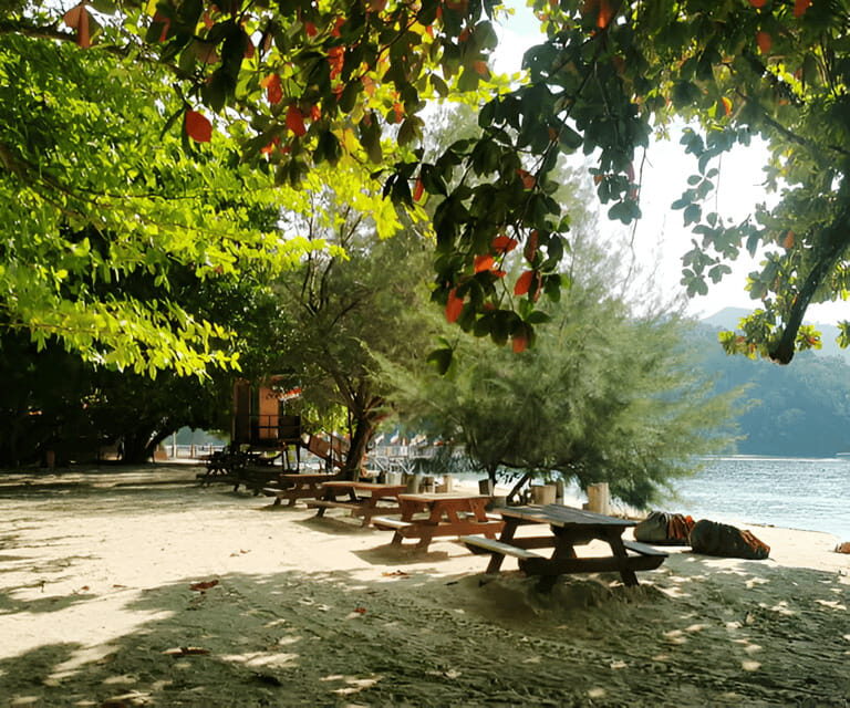 Sabah: Manukan and Sapi Islands Excursion Ticket - Who Would Love This Tour?