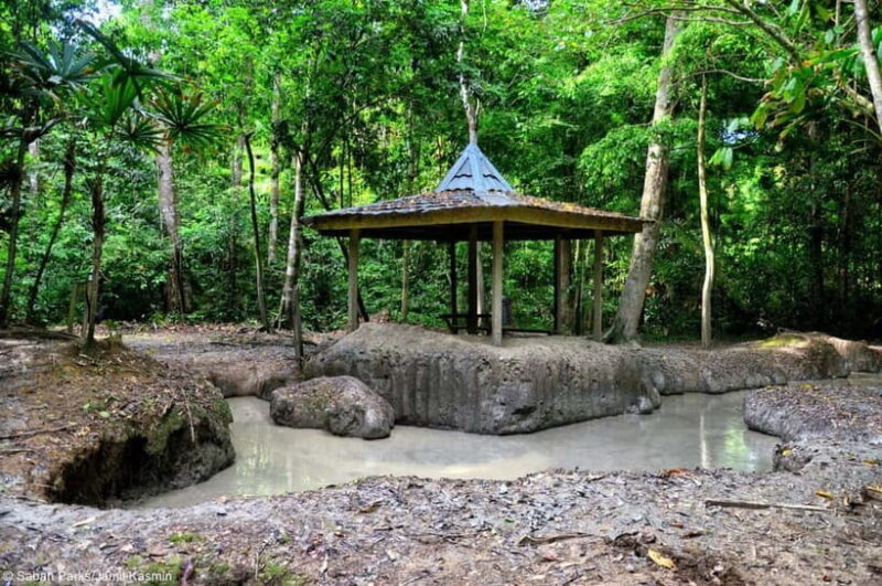 Sabah: Pulau Tiga Snorkeling Day Trip with Lunch - FAQ