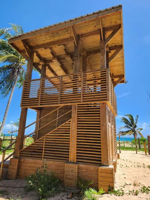 Sabana de la mar : Montaña Redonda, Lunch & Esmeralda Beach - Comparing Cost and Value