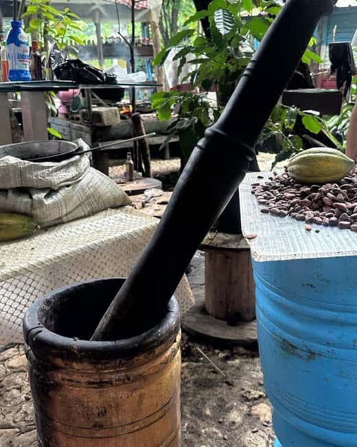 Sabana de la Mar: Yanigua Waterfalls Tour with Lunch - Who Should Consider This Tour?