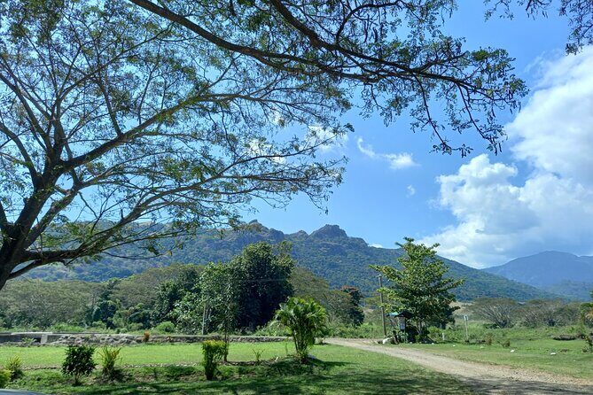 Sabeto Hot Springs and Mud Pool Tour - A Detailed Look at the Sabeto Hot Springs and Mud Pool Tour