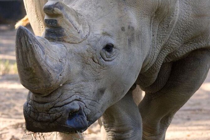 Sacramento Zoo General Admission Ticket - In-Depth Review of the Sacramento Zoo Experience