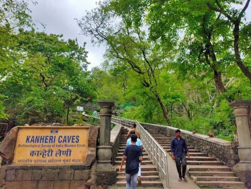 Sacred Caves & Green Escape: Kanheri Buddhist Caves & SGNP - Who Is This Tour Best For?