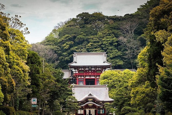 Sacred Giants and Hidden Caves: A Kamakura Journey Through Time - Final Thoughts: Is This Tour Right for You?
