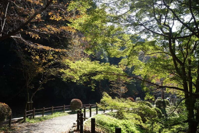 Sacred Pathways: Discover the Philosopher's Path of Kyoto - The Sum Up