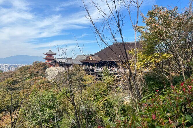 Sacred Treasure Fushimi Inari and Kiyomizu Dera Tour - What the Tour Includes and What It Doesn’t