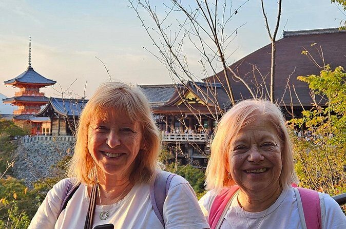 Sacred Treasure Fushimi Inari and Kiyomizu Dera Tour - Who Should Consider This Tour?