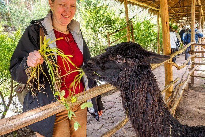 Sacred Valley and Machu Picchu Tour in 2 days with Peru Vip - The Sum Up: Is This Tour Right for You?