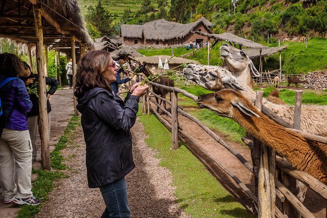 Sacred Valley and Machu Picchu Tour in 2 days with Peru Vip - FAQ: Your Questions Answered