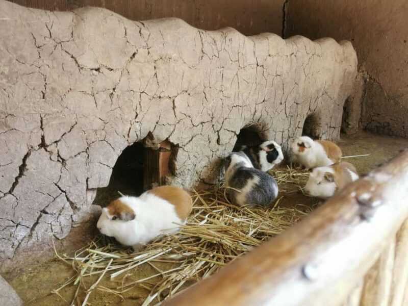 SACRED VALLEY OF THE INCAS + MARAS & MORAY IN PRIVATE TOUR - FAQs