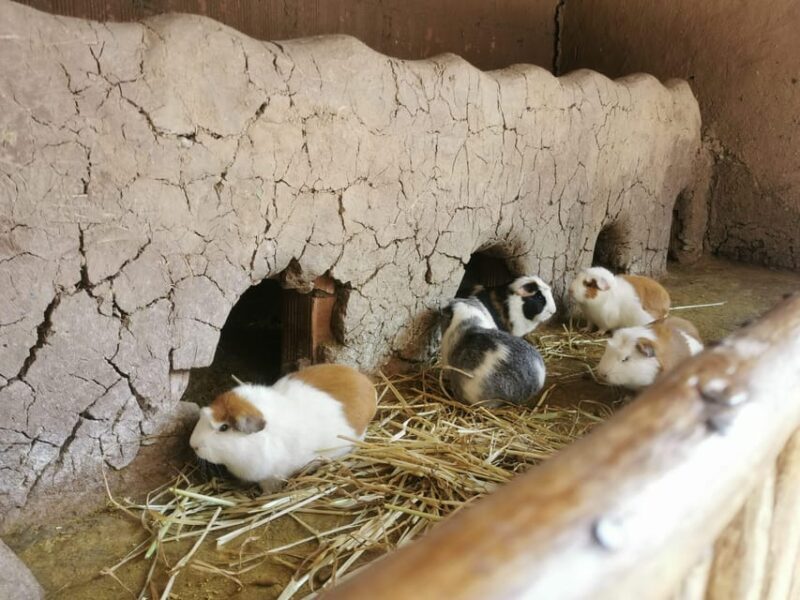 SACRED VALLEY OF THE INCAS + MARAS & MORAY IN PRIVATE TOUR - Final Thoughts