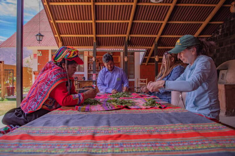 Sacred Valley: Traditional Textiles Workshop - A Deep Dive into the Sacred Valley Textile Workshop