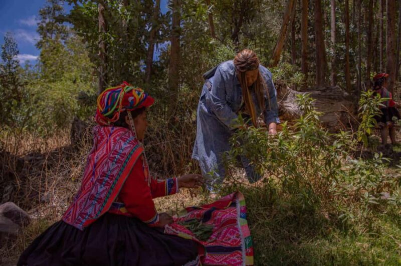 Sacred Valley: Traditional Textiles Workshop - Who Should Consider This Tour?