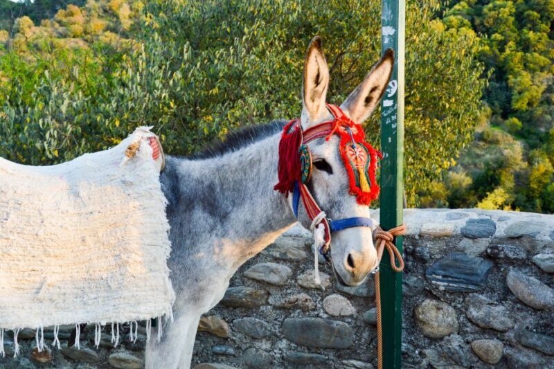 Sacromonte Caves Museum Admission Ticket - Additional Questions