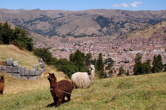 Sacsayhuaman Inca´s Temple, Tambomachay, Puca Pucara & Q`enqo Half-Day Tour - FAQs
