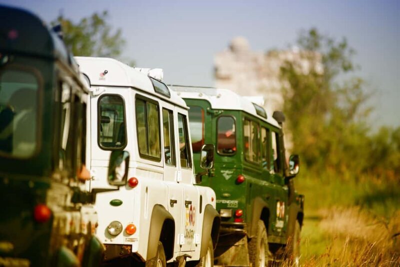 Safari 4x4 in Camargue / VIP Tour 3h30 / Grau du Roi - Exploring the Camargue in a 4x4 Setting