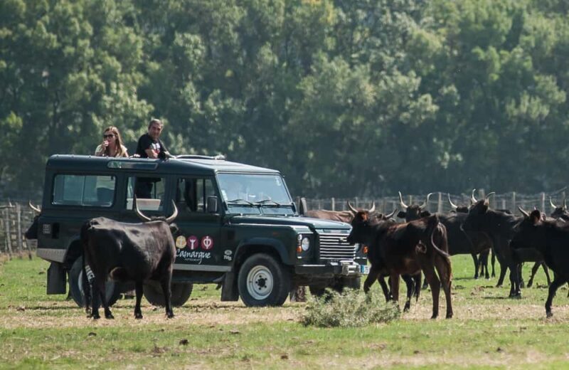 Safari 4x4 in Camargue / VIP Tour 3h30 / Grau du Roi - The Gastronomic and Wine Experience